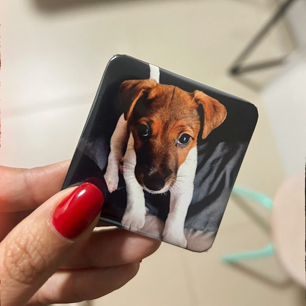 Ímã personalizado com foto de cachorro